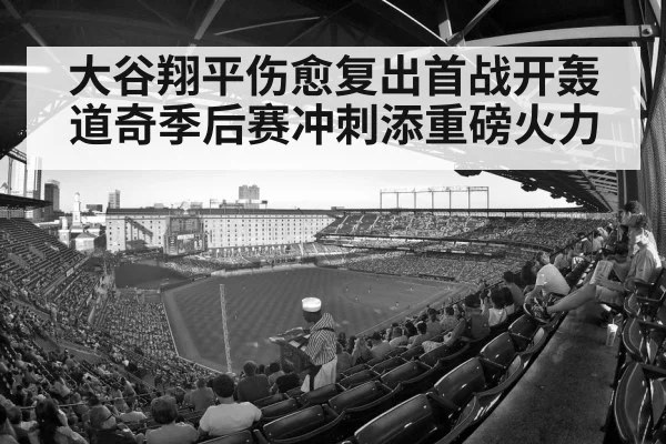 baseball stadium crowd