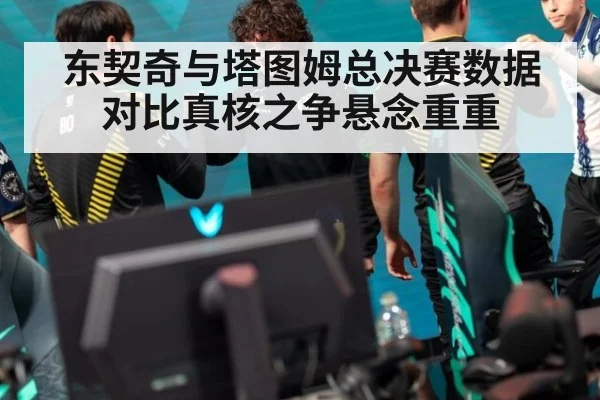 东契奇与塔图姆总决赛数据对比真核之争悬念重重